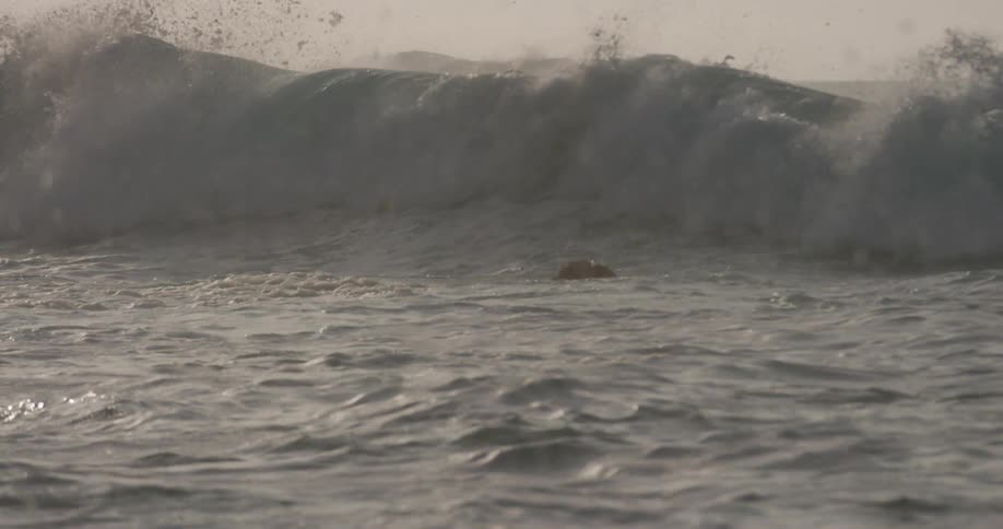 The water near the shore is rough and full of waves