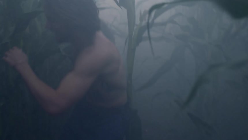 A man and woman run through a corn field laughing on a foggy day