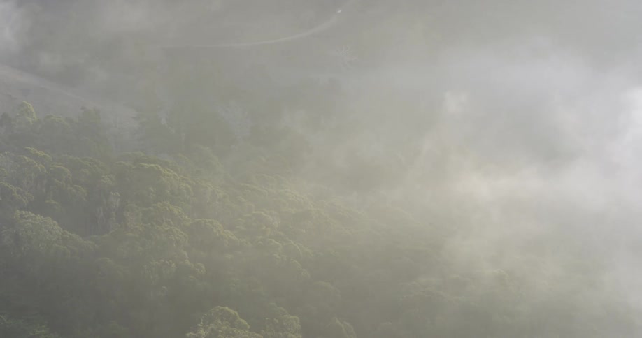 Clouds move over a forested area