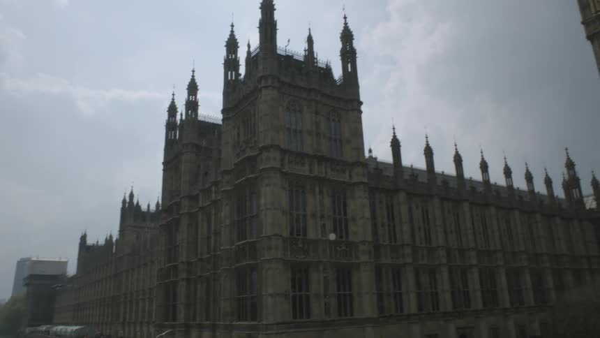 A bird flies over the water next to the palace of westminster and big ben