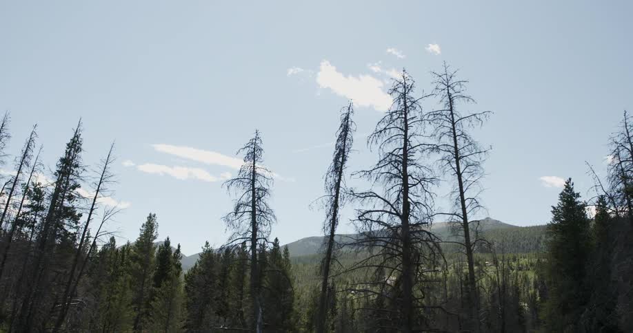 Colorado