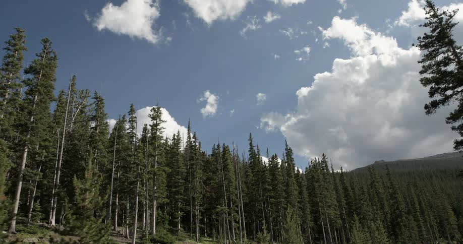 Colorado