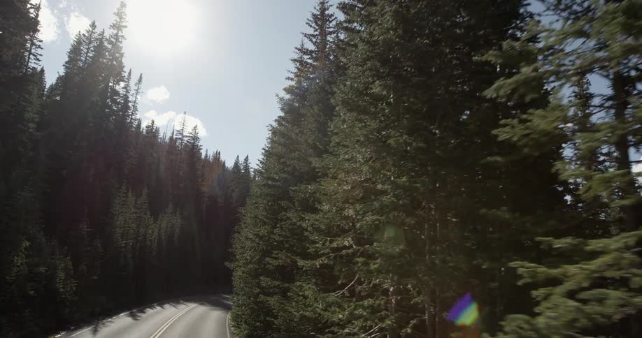First person view of flying over a two lane road in a forest
