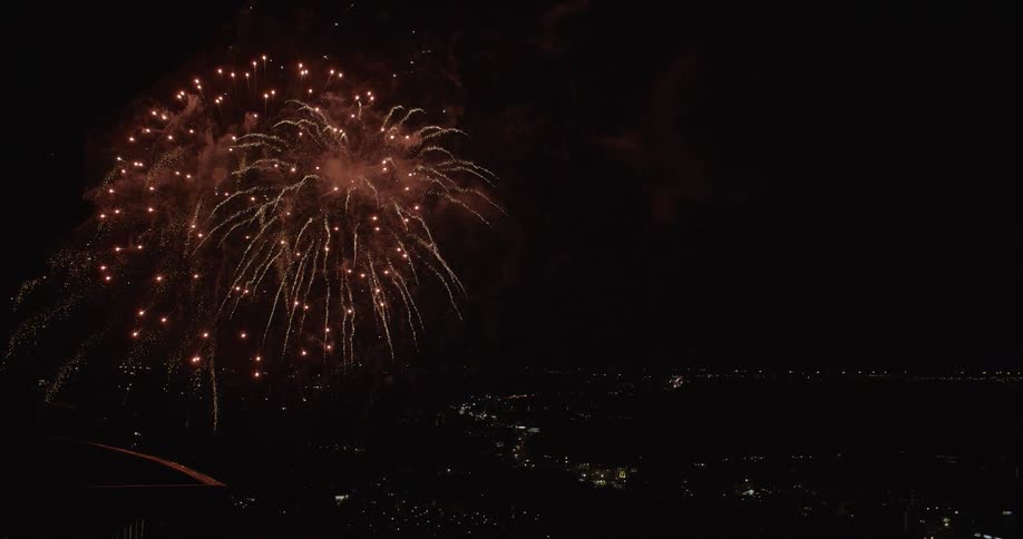 Fireworks explode in the dark night sky