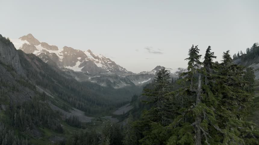 A deep valley surrounded by trees and snowy mountains
