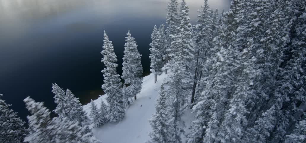 A snow slope covered in trees leading down to a body of water