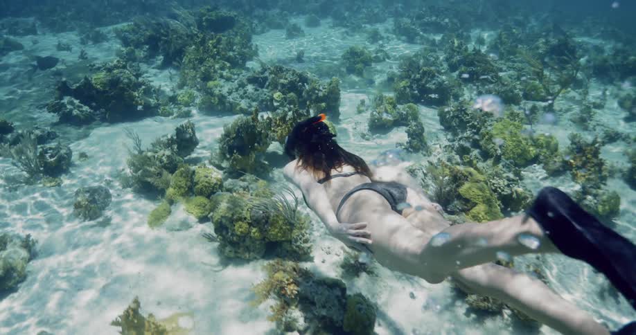 A woman is swimming in the ocean