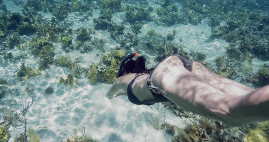A young woman in a one piece swimsuits and a snorkel dives down under the surface of the ocean to the sandy bottom that is populated with green corals