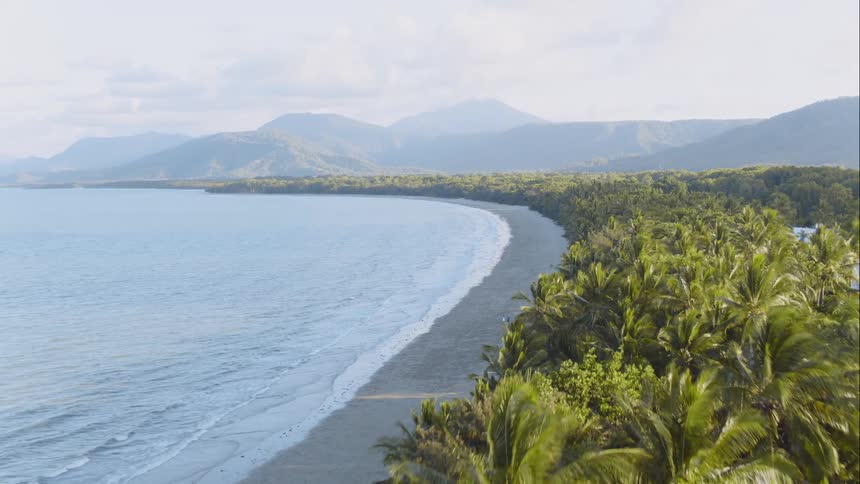 A narrow beach between a palm forest and a bay