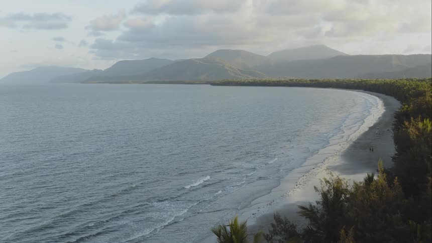 Ocean waves flow towards a sandy shoreline with palm trees