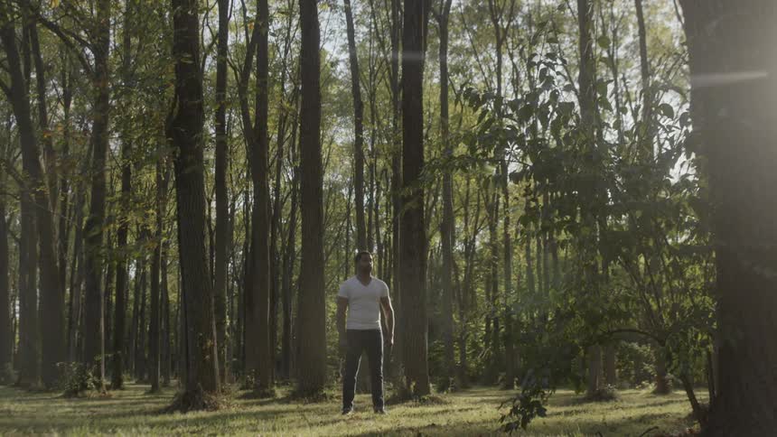 A man in a white shirt and jeans stands in a forest surrounded by trees with the suns rays shining through the canopy