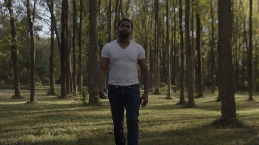 Man walks down between tall trees on forest