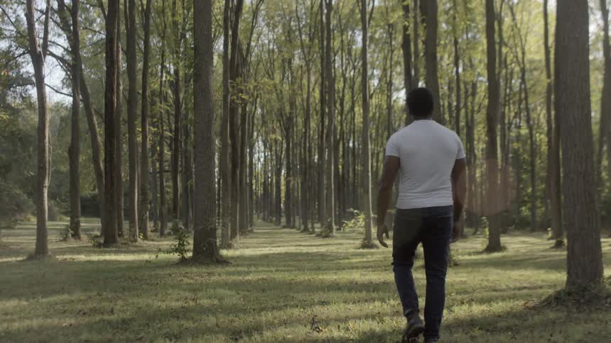 A man in a white shirt and dark jeans walks through a row of tall trees in a forest