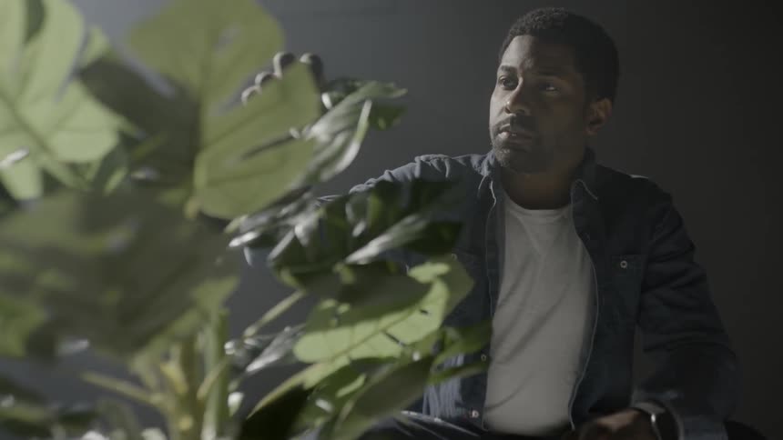 A man examining a plant in a dark room
