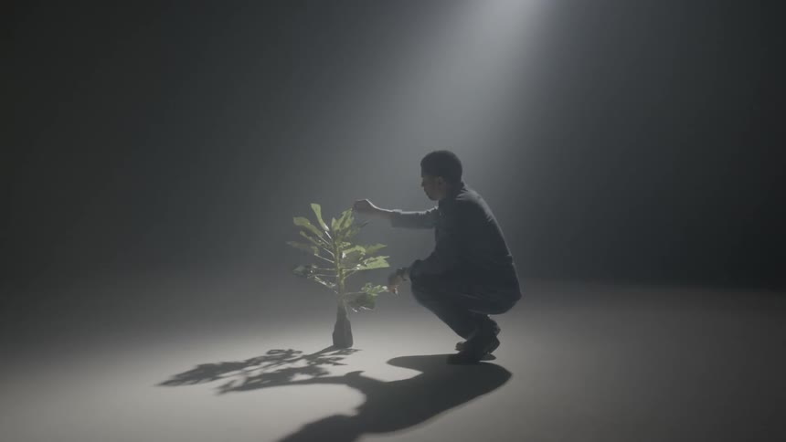 Man tending a plant on a studio under a single light
