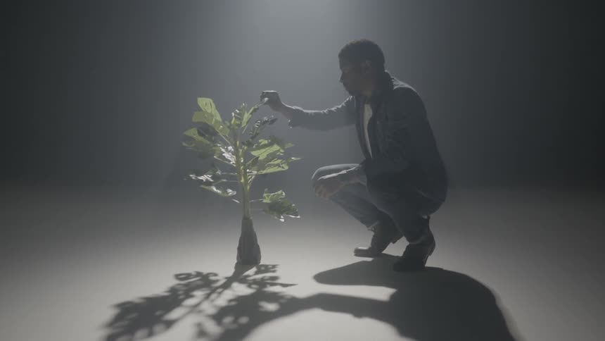 Man crouches near the plant with large green leaves
