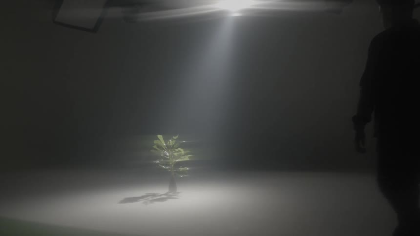 A person walking into a room with a plant and one light