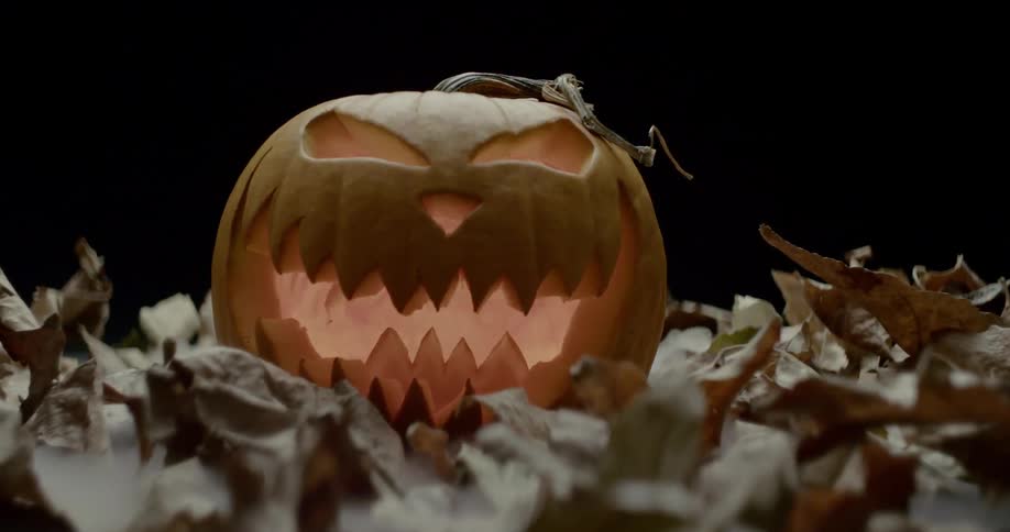 A carved jack olantern surrounded by leaves