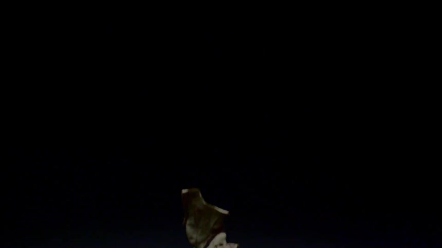 A falling leaf at night