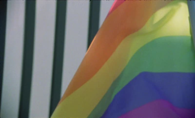 A rainbow flag blows in the wind