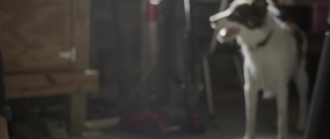 A man working on hats with a dog walking around by his feet