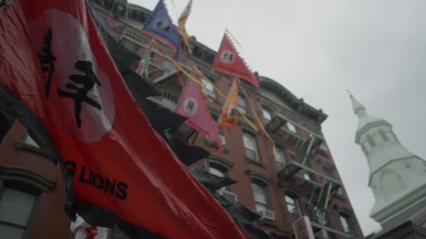 A young lions flag blows in the wind