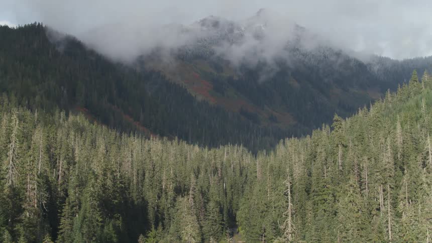 Thick clouds cover the mountain top