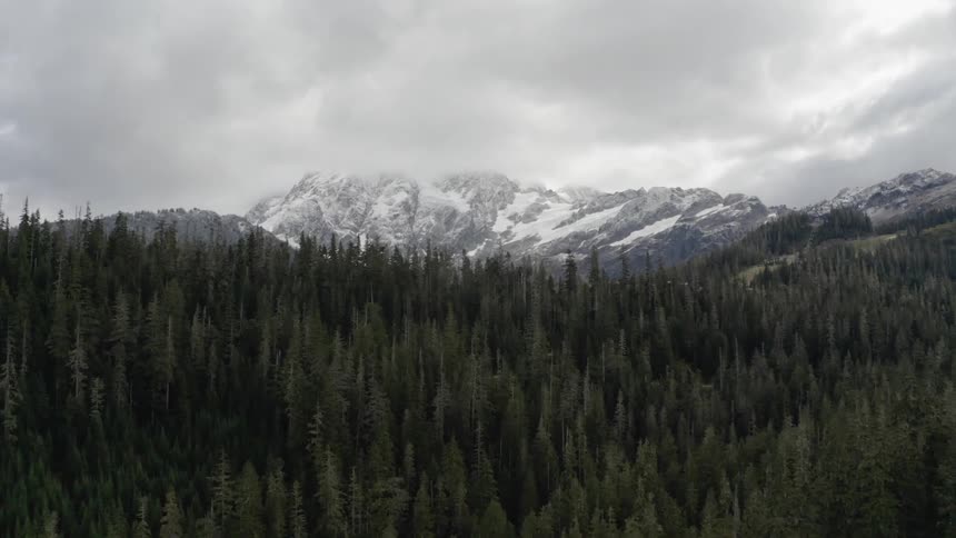 Snow covered mountains overlook a forest filled with pine trees