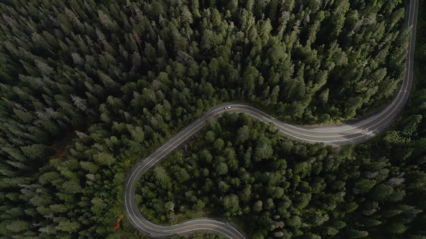An aerial view of a car driving on a road in the forest
