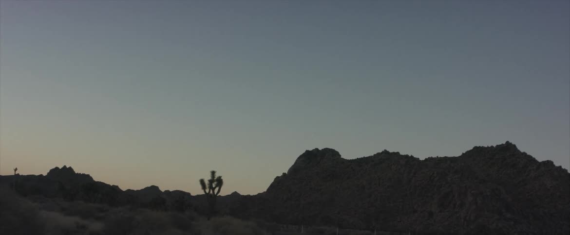 Desert brush and scrub after sunset