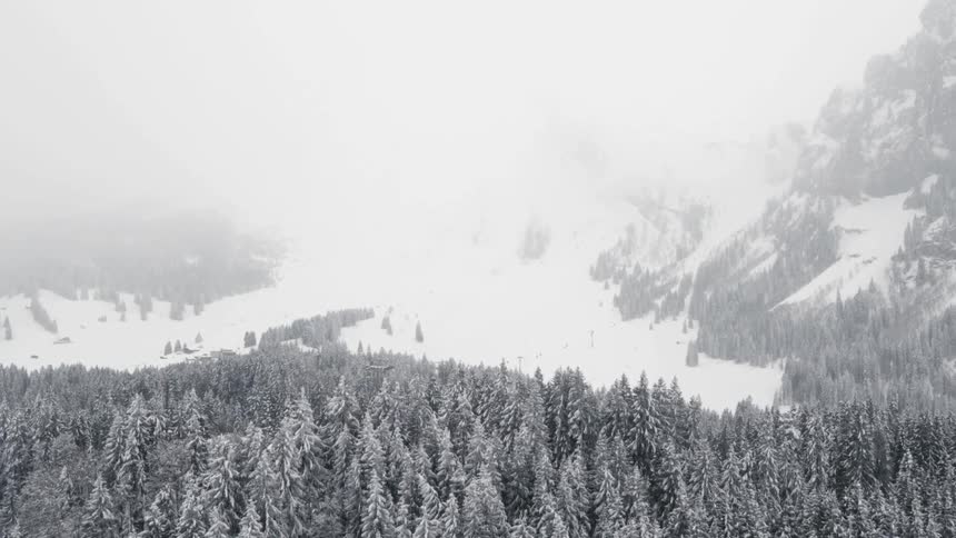 A forest at wintertime with the sky and mountains in the background