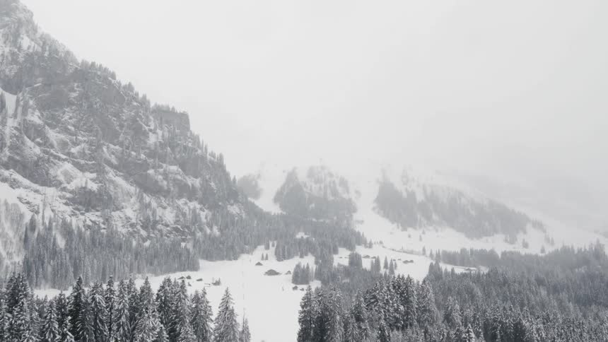 A snowstorm over mountains and a forest