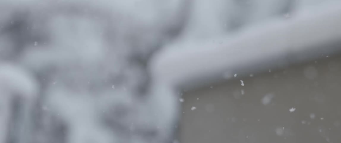Snow flakes fall past snow covered building and trees to ground