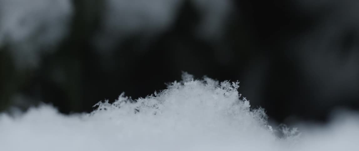 Snowflakes slowly pile up