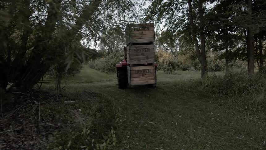 A forklift carrying wood crates drives through a field