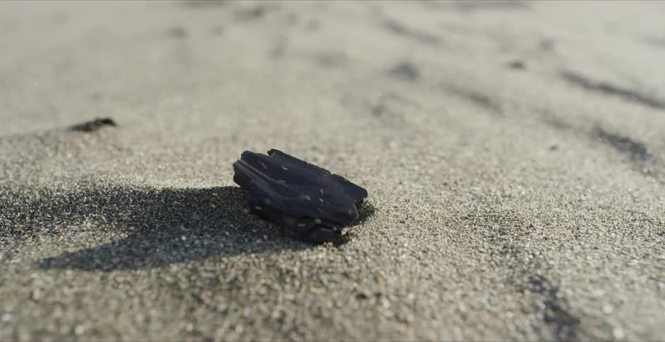 Grains of sand fly past a piece of black driftwood