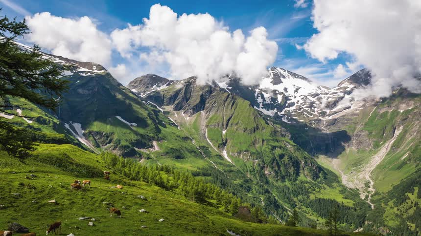 Animals graze on grass while clouds develop over mountains