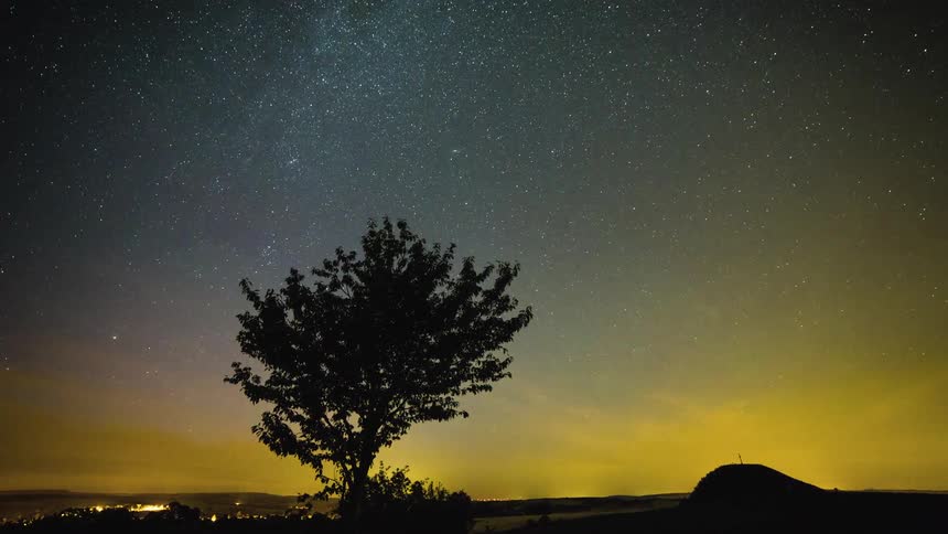 A silhouette of a tree with the sky and stars in the background