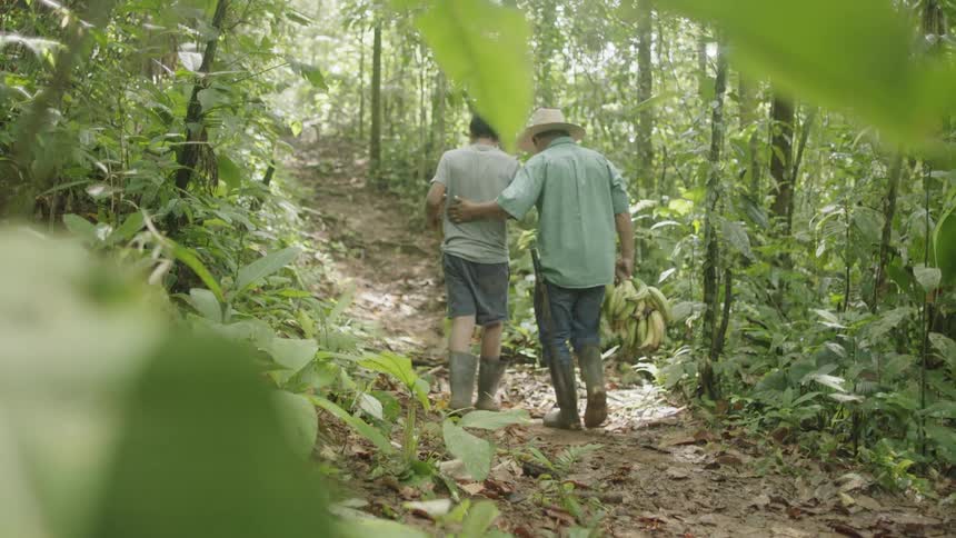 Man carrying a bunch of bananas walks down on a forest path during daylight with a boy holding a basket of fruit