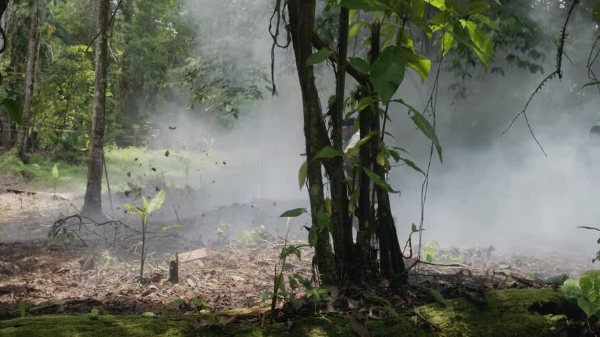 Armed men in camouflage run through jungle with weapons out