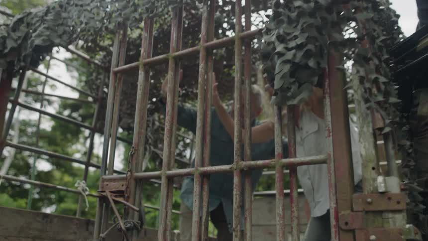 A man and woman being held at gunpoint while they climb into a cage on a truck
