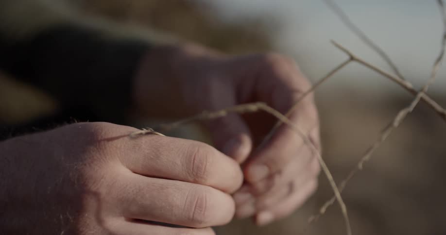 A person grabbing a stick out in a field