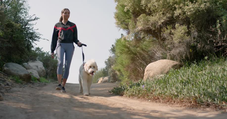 A woman walks her dog along a path