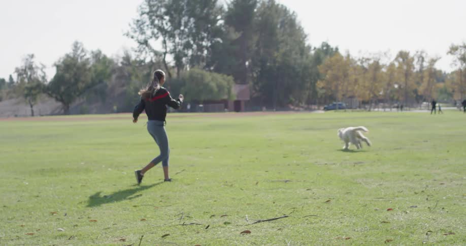 Woman plays with the white dog on the lawn during daylight
