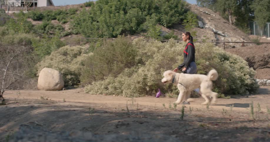 A woman walks a large white dog on a dirt path
