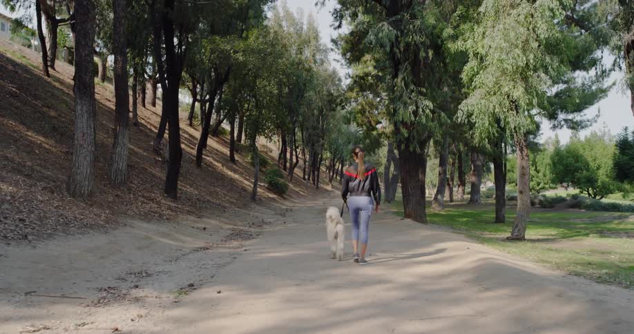 A woman and her dog walk through a park surrounded by trees