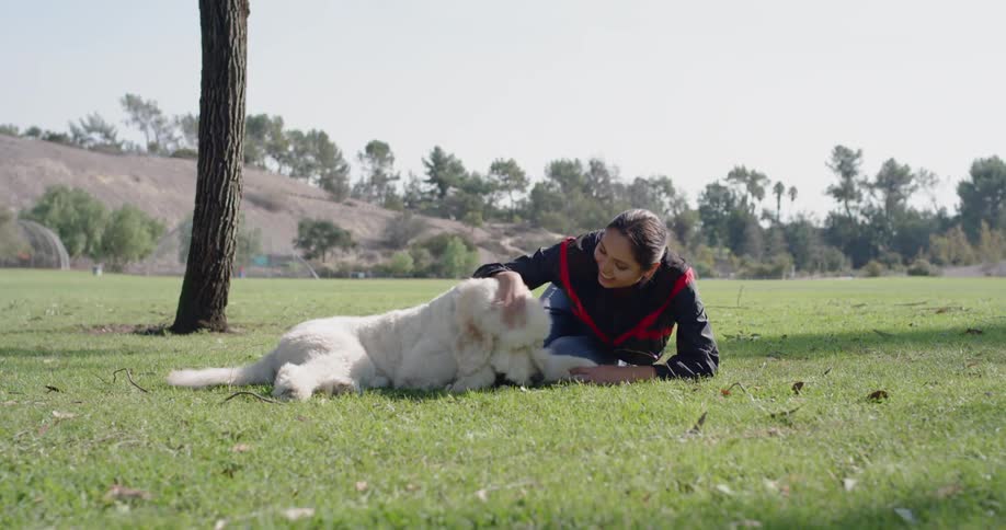 A woman playing with a furry white dog in a field