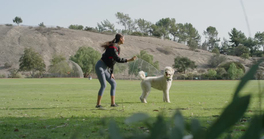 A woman is playing with her dog outside