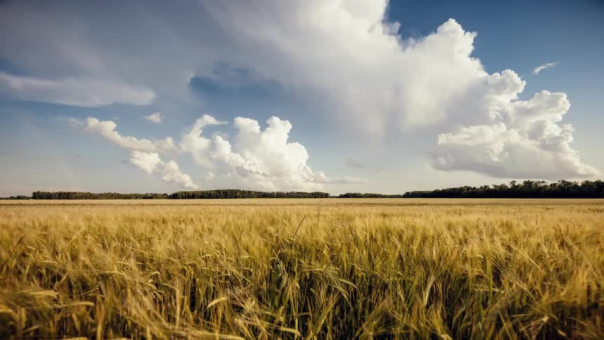 A time lapse of a field