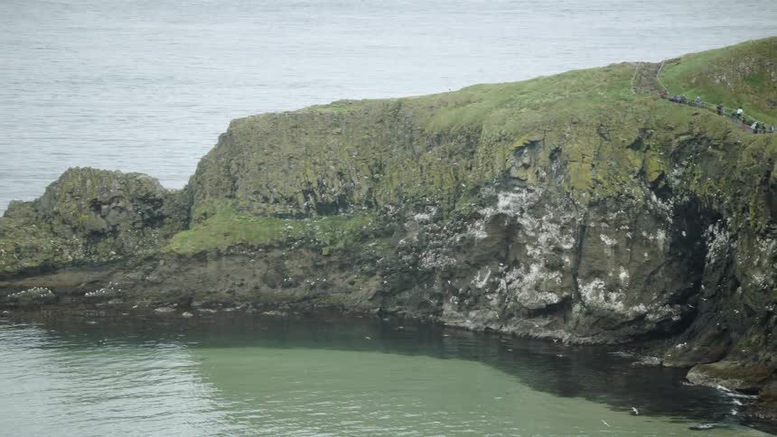 Dozens of birds fly around a small rock peninsula
